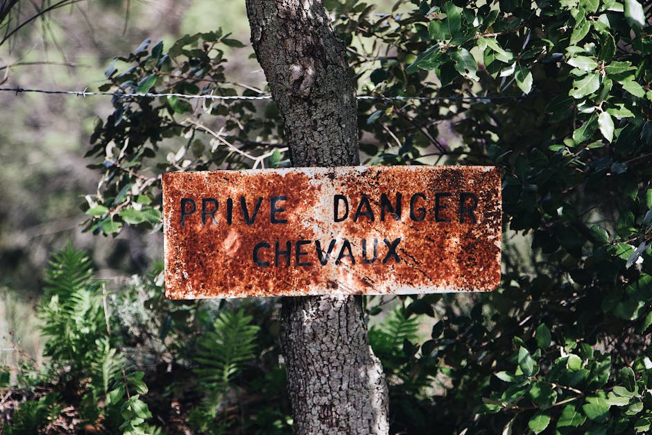 Comment protéger votre vie privée en ligne en 2023: Conseils et outils essentiels - protection vie privée en ligne, sécurité internet 2023, meilleurs outils de confidentialité, gestion des données personnelles, logiciels de sécurité web, solutions anti-tracking, cryptage des données, confidentialité numérique au Québec, tendances de sécurité Internet, conseils de protection des informations personnelles